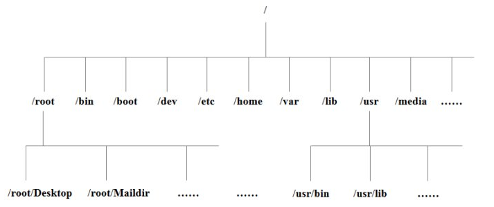 Linux文件系统目录结构